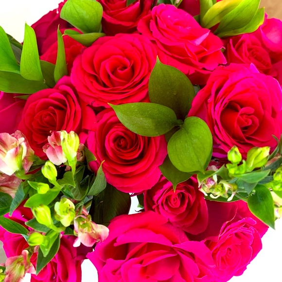 Meet your Posher, Anita - Picture 1 of 1